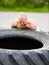 Male Athlete Lifting Truck Tire