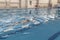 A male athlete swims in a swimming pool sports complex in blue water