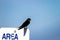 Male Barn Swallow on a national wildlife refuge sign