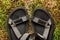 Male beach sandals on moss background