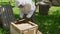 Male beekeeper working with beehive outdoors.