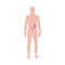 Male body with anatomical icon of stomach flat vector illustration isolated.