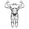 Male body muscle black silhouette