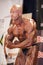 Male bodybuilder shows his best most muscular pose on stage