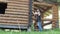 A male carpenter comes to a log wall and begins to caulk.