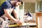 Male Carpenter With Female Apprentice Measuring Wood To Build Outdoor Summerhouse In Garden