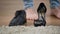 Male Caucasian feet coming into shot and picking up men`s broggi boot standing next to women`s high heel shoe. Self