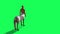 Male Centaur Half Horse Half Man on green screen