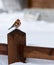 Male chaffinch in a winter and cold background