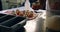 Male chef applying poppy seeds on rolled dough balls 4k