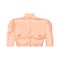 Male chest flat icon. Colored vector element from body parts collection. Creative Male chest icon for web design