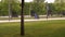 A male cleaner in a blue uniform carries a container with garbage in a park.