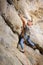 Male climber climbing big boulder in nature with rope