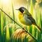 Male Common Yellowthroat Perched Marsh Bulrush Springtime Morning Sunrise Small Birds AI Generated