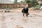 male construction worker installs metal fittings for the foundation of the construction of a house