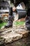 A male craftsman fills the joints of a dry stone wall with sand