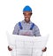 Male Craftsman Holding Blueprint