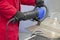Male cuts metal hydraulic hand tool