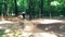 Male cyclist is doing dirt jumping on a forest track