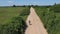 Male cyclist rides a bicycle on country road outside city