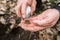 A male digger found an old ancient historical coin in the forest and washes it