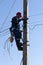 a male electrician climbs up a reinforced concrete pillar for mounting a line of electrical wires