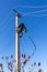 A male electrician climbs up a reinforced concrete pole to install a line of electrical wires.