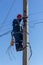 a male electrician climbs up a reinforced concrete pole to install a line of electrical wires