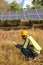 Male engineer holding notebook and work record to inspect solar system. Outdoor. Concept of electric power technology industry.