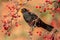 Male European Blackbird feeding and looking