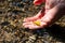 Male european hand refreshing in meditative zen atmosphere in a crystal clear water of a flat little creek with silky ripples