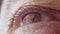 Male eye, macro shot. The man looks into space and does not blink. Closeup for biometric scan and security with facial