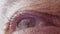 Male eye, macro shot. The man looks into space and does not blink. Closeup for biometric scan and security with facial