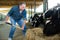 Male farm worker feeding cows