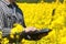 Male farmer - businessman holding a laptop on a field of yellow blooming canola, close-up.