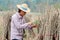 Male farmer Catching  leaf stalk of tapioca plant with tapioca limb that cut the stack together in the  farm