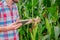 Male farmer checking plants on his farm. Agribusiness concept, agricultural engineer standing in a corn field with a tablet,