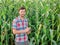 Male farmer checking plants on his farm. Agribusiness concept, agricultural engineer standing in a corn field with a tablet,