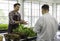 Male farmer explains how to grow vegetables in greenhouse