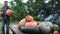 A male farmer gardener carries ripe pumpkins