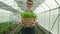 Male farmer gives fresh vegetables with a happy smile in plantation greenhouse.