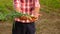 Male farmer harvests onion in the garden. Selective focus.