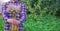 a male farmer holds garlic in his hands. Selective focus