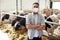 Male farmer in mask with cows on dairy farm