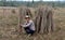 Male farmer Sitting in the midst of tapioca limb that cut the stack together in the farm