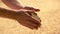 Male farmers hand grabbing and pouring grains.