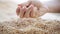 Male farmers hand pouring malt or cereal grains