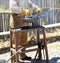 Male farrier working.