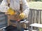 Male farrier working.