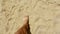 Male feet walk along the sandy beach. A man enjoys relaxing on the sandy beach. A man walks on the sand by the sea.